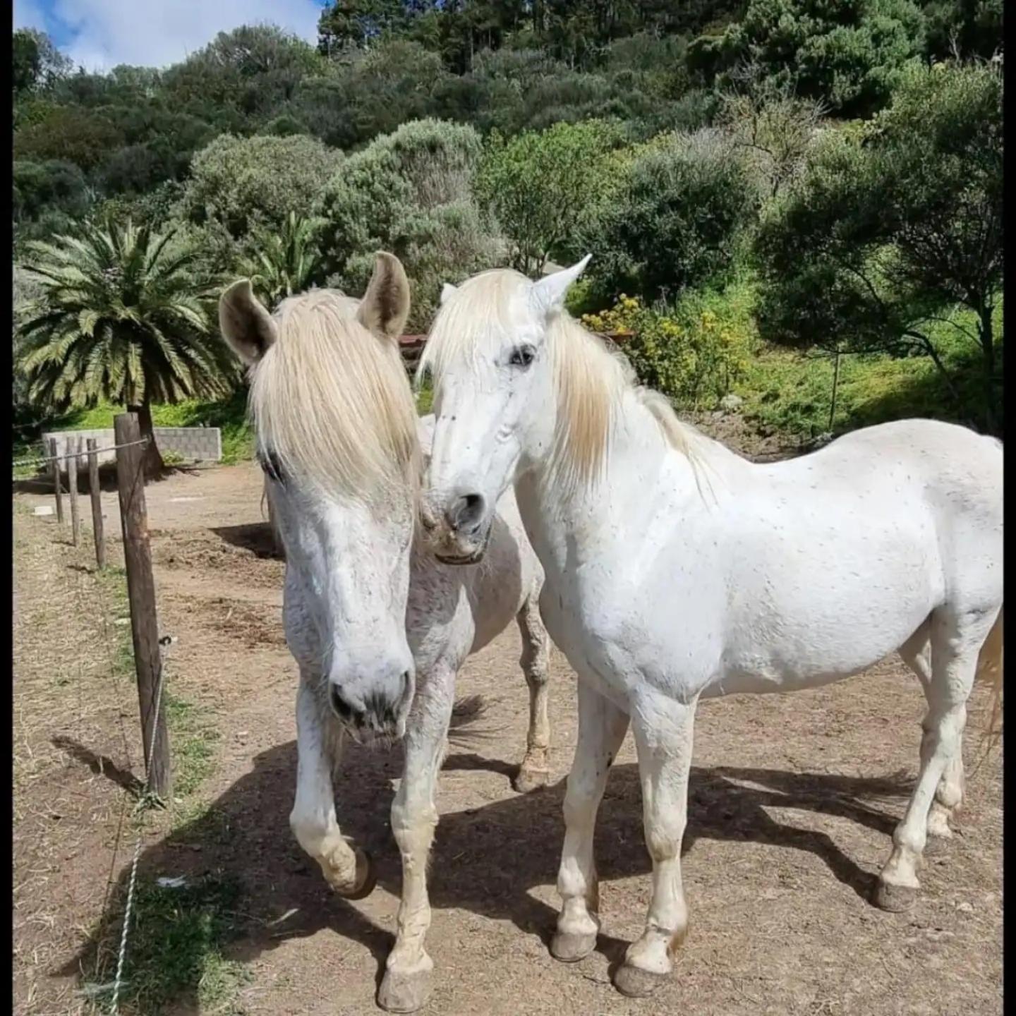 Santa Brígida El Batan Resort מראה חיצוני תמונה