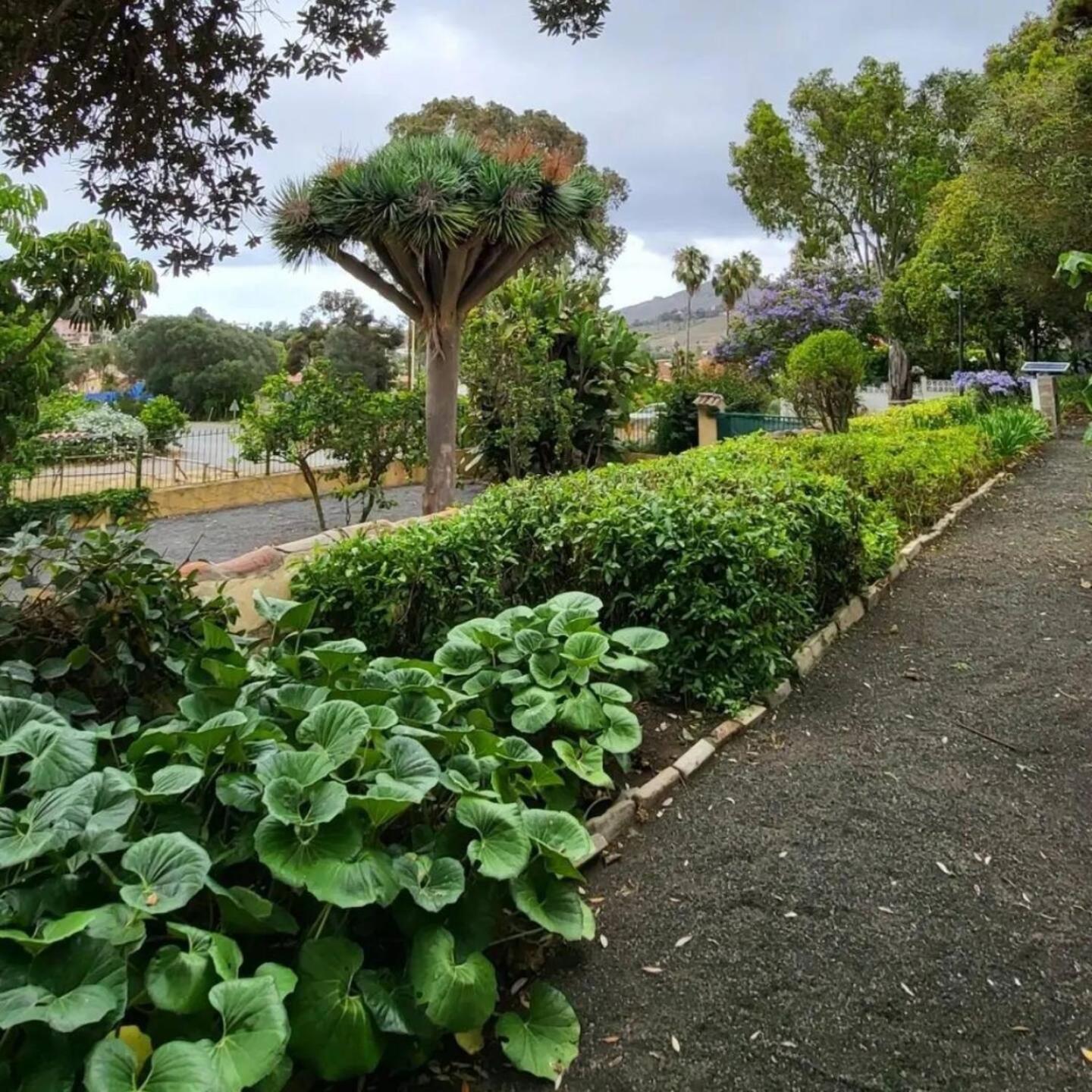 Santa Brígida El Batan Resort מראה חיצוני תמונה